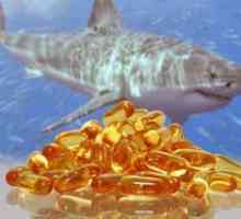 Maščobe morskega psa: škoda in koristi izdelka, funkcije uporabe