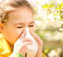 Otroška alergija. Znaki in simptomi alergij, kako zdraviti