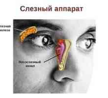 Anatomija in funkcija kanalov in nazofarinksa