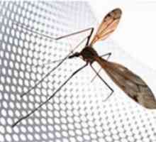 Mosquito mreža na magnetih na vratih - najboljša zaščita pred komarji!