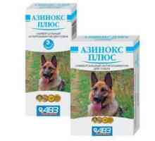 Asinox Plus za pse: navodila za uporabo