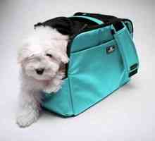 Namen nakupa torbe za pse malih in srednje velikih pasem
