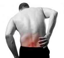 Bolje je, da se bolečine v hrbtu na področju ledvic