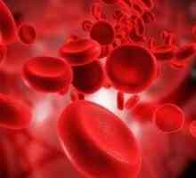 Čiščenje krvi pred škodljivimi snovmi v domu, ljudska zdravila