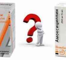 Kaj je bolje jemati - amoksiklav ali amoksicilin?