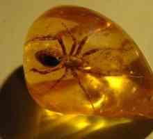 Kaj je oranžna: opis in lastnosti mineralov