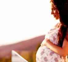 Kaj pomeni sanjati nosečnice