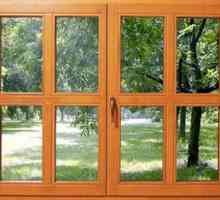 Leseni okenski okvirji: značilnosti oken iz lesa