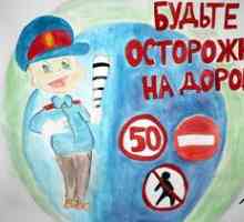 Varnost otroka na cesti