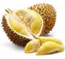 Durian cibetin - opis sadja in njegovih koristnih lastnosti