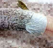 Polnjene ribe: kako pravilno odstraniti kožico
