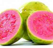 Guava sadje: koristne lastnosti, kontraindikacije, kot je guava