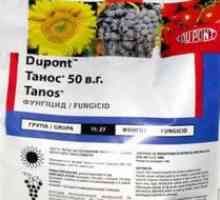 Fungicidni tanos: navodila za uporabo zdravila, sestava