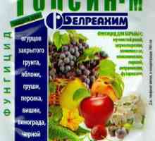 Fungicid topsin m: navodila za uporabo