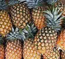 Kjer ananas raste v naravi, uporabi in uporabne lastnosti