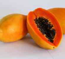 Kje raste in kako izgleda papaja, uporabne lastnosti sadja