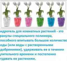 Hidrogel za rastline: poučevanje in uporaba cvetov