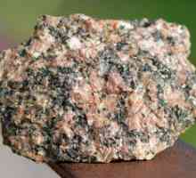 Granit in njegove lastnosti: vrsta, gostota, granularnost