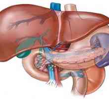 Značilni simptomi, ko se jetra poškodujejo