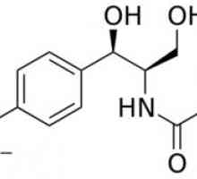 Kloramfenikol opis blagovne znamke: ročni in analogni