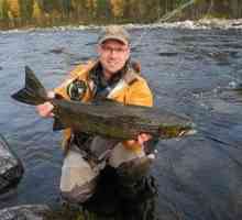 Dobra mesta za ribolov v Kareliji divja