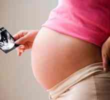 In tako, 39 tednov nosečnosti prekurzorji dela v primiparousu