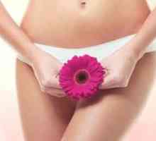 Intimna plastika ženskih genitalij: vrste operacij