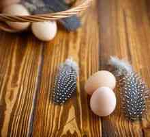 Jajca iz pegatk: lastnosti, koristi in škoda, uporaba