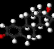 Estradiol: kaj je to, opis in namen hormona