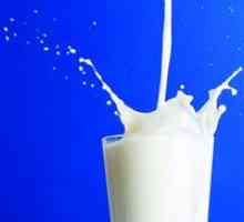 Kaj sanje mleka - sanjska knjiga "mleko"