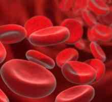 Kako povečati otrokovo raven hemoglobina?