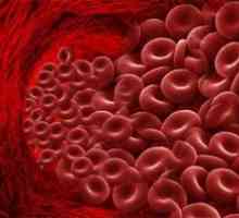 Kako znižati raven hemoglobina v krvi človeka?