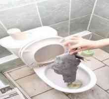 Kako očistiti stranišče pred zamašitvijo doma