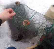 Kako narediti ribiško ruto za zimski ribolov