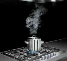 Kako izbrati filter oglja za kuhinjske nape?