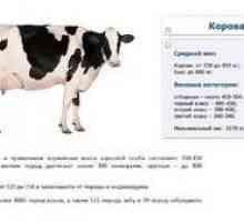 Kako izvedeti brez tehtnic, koliko tehta povprečna krava