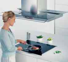 Kako izbrati plinsko in električno kuhalno ploščo?