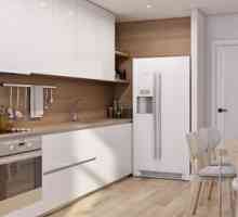Kako izbrati dober hladilnik za vaš dom: strokovni nasveti