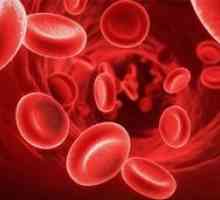 Kakšna je norma trombocitov v krvi žensk in moških?