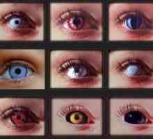 Kakšne vrste kontaktnih leč za oči?