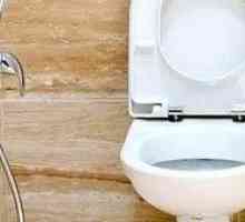 Kateri higienski tuš lahko izberete za WC školjko z mešalcem