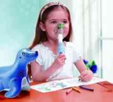 Kateri nebulizer je najboljši za otroke in odrasle: opis modelov in pregledov
