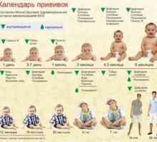 Načrt cepljenja za otroke, mlajše od enega leta