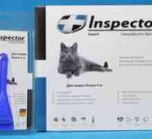 Inšpektor za mačke - opis in navodila