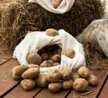 Krompir doma in kako shraniti na različnih mestih