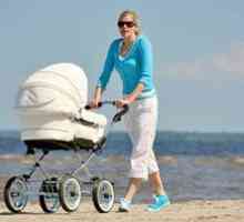 Vozički za novorojenčke: ocena najboljših sprehajalnikov 3 v 1