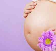 Colpitis v nosečnosti: možnosti zdravljenja in posledice za otroka