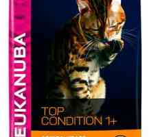 Mačka hrana eukanuba in njegove glavne značilnosti