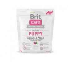 Premium hrana `Brit `za pse: značilnosti, sestava in koristi