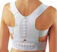 Steznik za hrbet in prilagoditev drže in hrbtenice